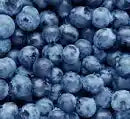 Blueberries Punnet 125g