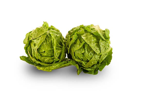 Lettuce Little Gem 3pk